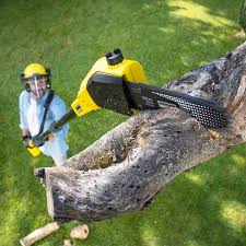 Mulching Services in Fletcher, OK