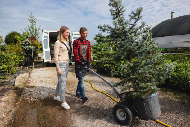 Best Artificial Turf Installation  in Fletcher, OK